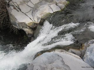 cantara gurne06-01-2014 19-26-32